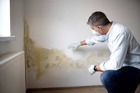 Best Mold Prevention Services  in Scranton, PA